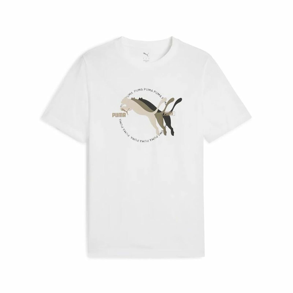 S64182488_0 S64182488_0