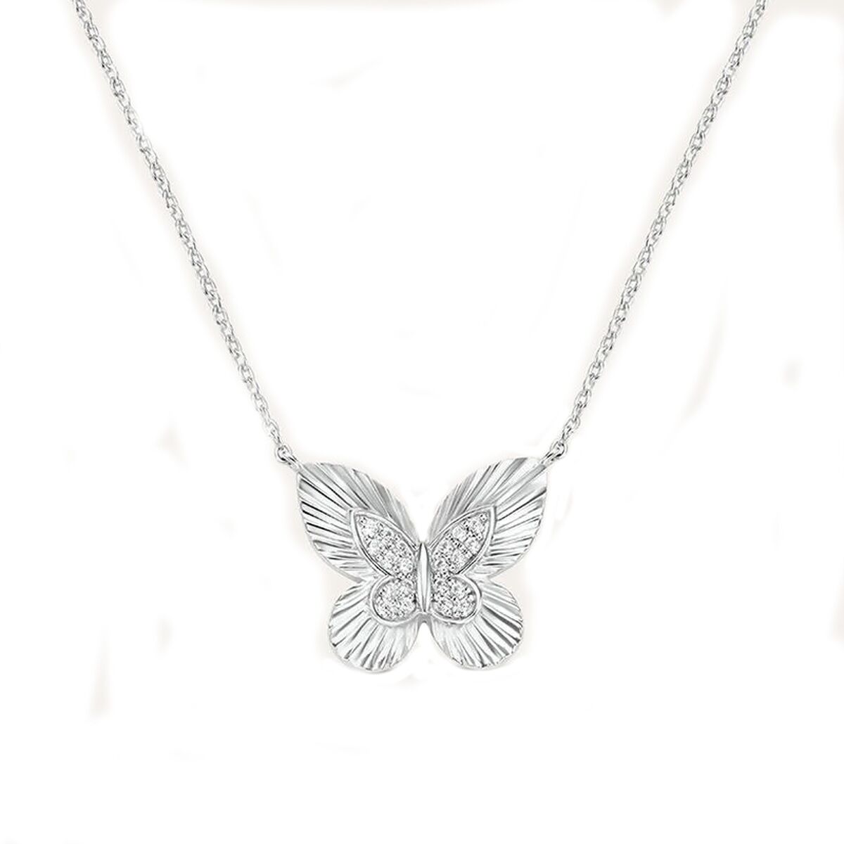 S72122657_0 S72122657_0