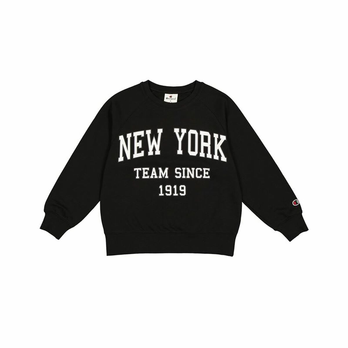 S64169011_0 S64169011_0