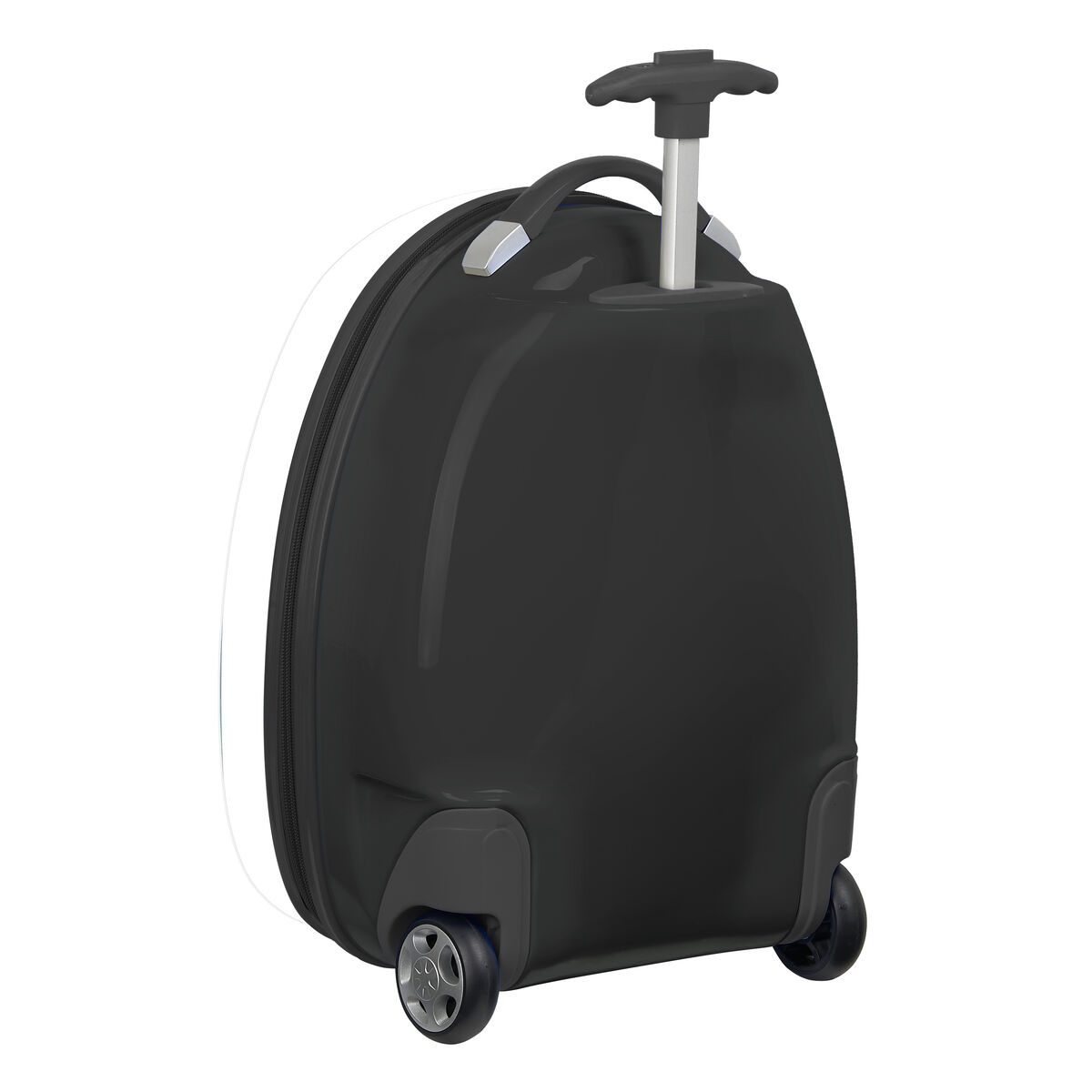 S4313006_0 S4313006_0