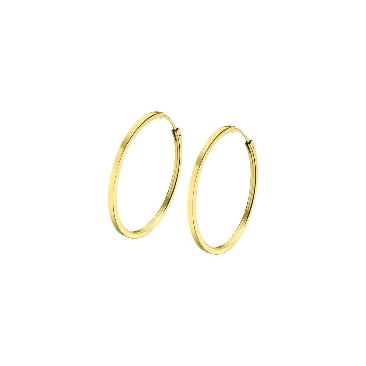 S7250821_0 S7250821_0