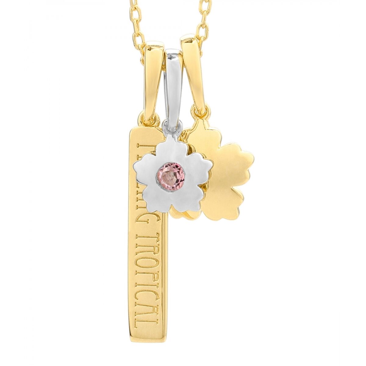 S0379811_0 S0379811_0