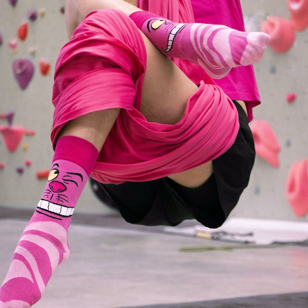 S2449233_0 S2449233_0