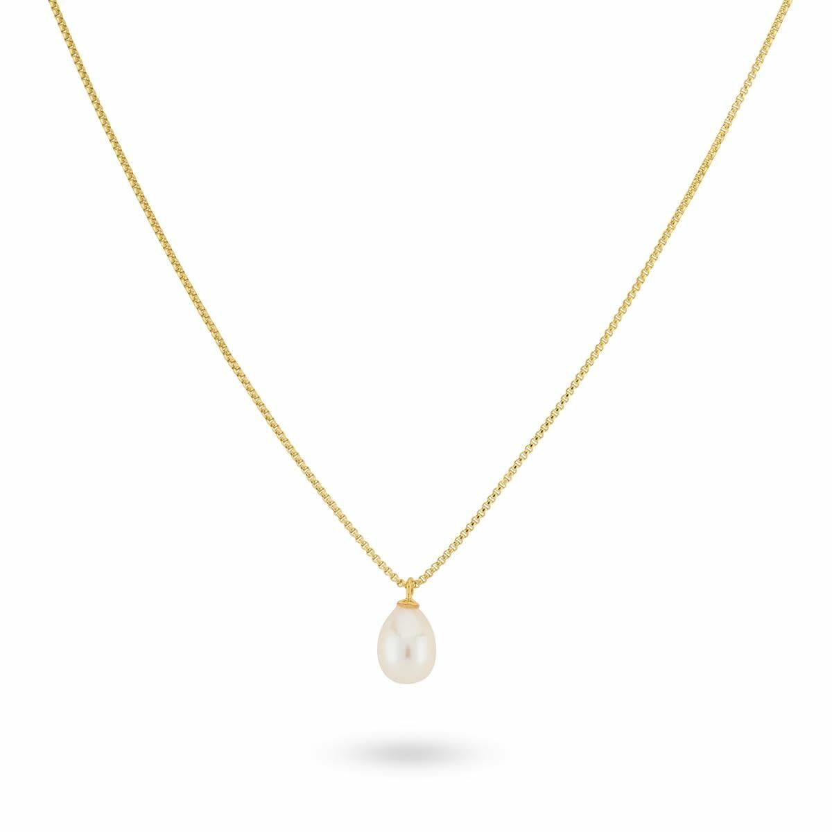 S72113243_0 S72113243_0