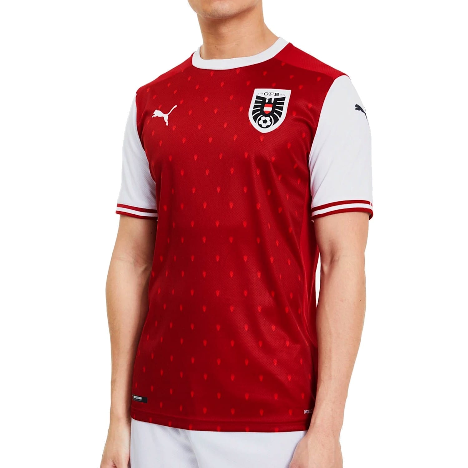 Austria national team Home soccer jersey 2020/21 - Puma - Image 3