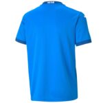 Iceland national team Home soccer jersey 2020/21 - Puma - Image 2