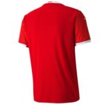 Serbia national team Home soccer jersey 2020/21 - Puma - Image 2