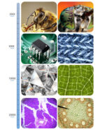 Digital Microscope HD 7 Inch - Image 5