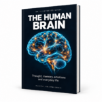 Human Brain – Illustrated Guide (English Edition)
