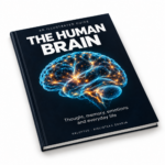 Human Brain – Illustrated Guide (English Edition) - Image 3