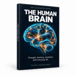 Human Brain – Illustrated Guide (English Edition) - Image 2